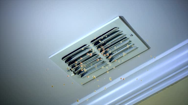 Best Best Air Duct Cleaning Company  in Shawano, WI