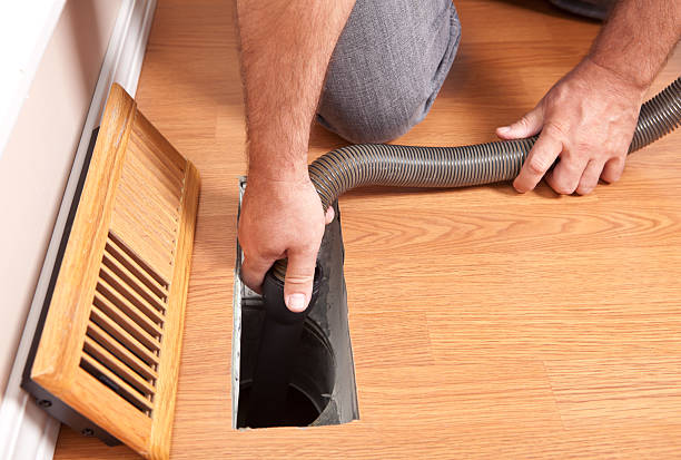 Best Air Duct Mold Removal  in Shawano, WI